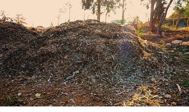 Didim Belediyesi’nden Örnek Proje: Pazar Atıkları Komposta Dönüşüyor