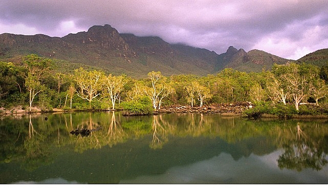 ‘Avustralya’nın Vahşi Ormanları’,   10 Ocak Cumartesi 20.00’de   National Geographic WILD Ekranlarında!