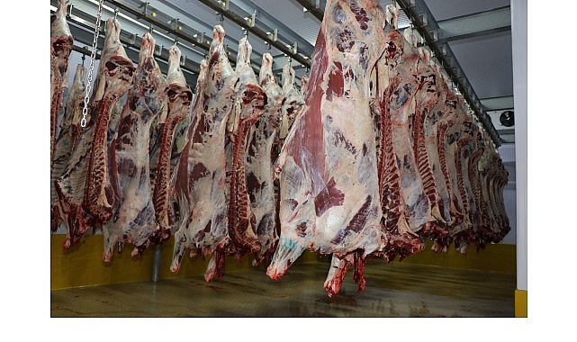 Büyükşehir Mezbahası’nda 6 bin 29 kesim yapıldı