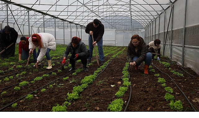 Kadın ve gençler, Büyükşehir’le tarıma kazandırılıyor