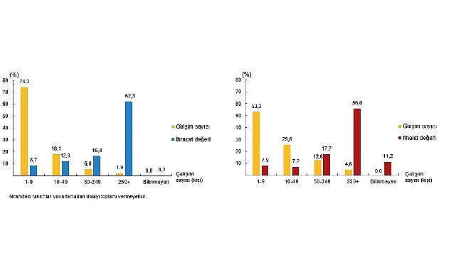 Girişim Özelliklerine Göre Uluslararası Hizmet Ticareti İstatistikleri, 2024
